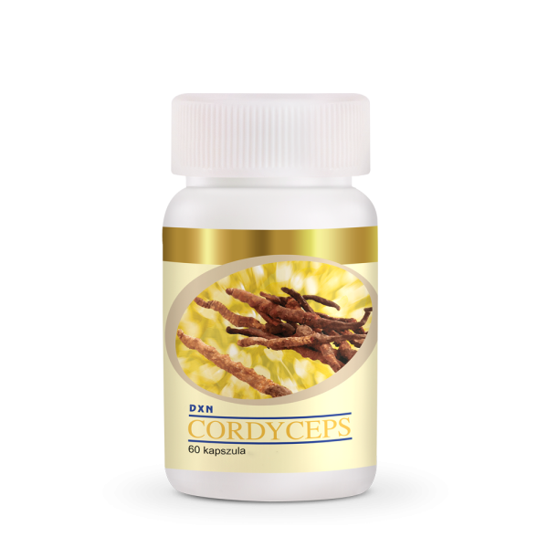 DXN Cordyceps