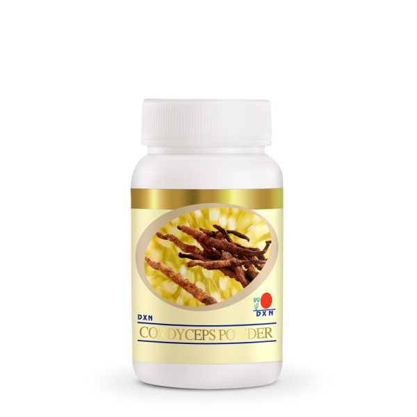 DXN Cordyceps – Bild 2