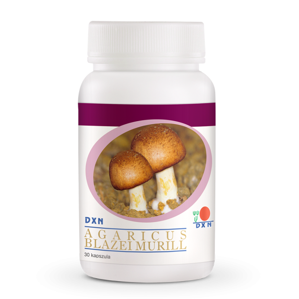 DXN Agaricus Blazei Murill – Bild 3