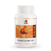 DXN Ganocelium (GL) - 90 gélules