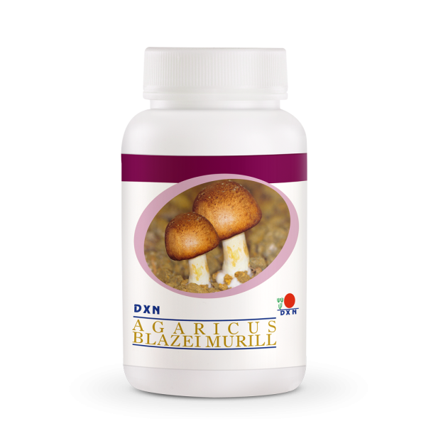 DXN Agaricus Blazei Murill - 90 cápsulas
