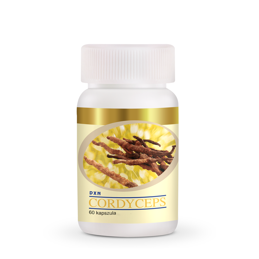 DXN Cordyceps